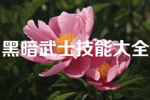 黑暗武士技能大全