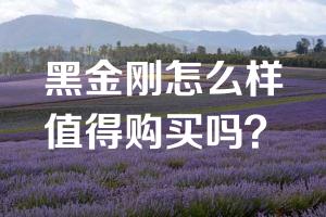 黑金刚怎么样值得购买吗？