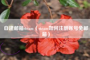 自建邮箱steam（steam如何注册账号免邮箱）