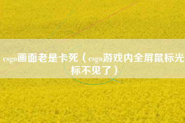 csgo画面老是卡死（csgo游戏内全屏鼠标光标不见了）