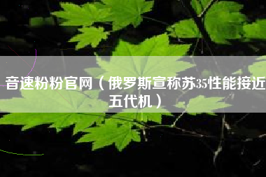 音速粉粉凯发k8官网（俄罗斯宣称苏35性能接近五代机）