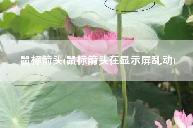 鼠标箭头(鼠标箭头在显示屏乱动)