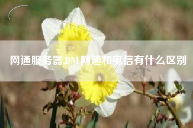 网通服务器,dnf网通和电信有什么区别