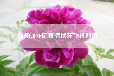 dnf群,dnf玩家潜伏在飞机群里