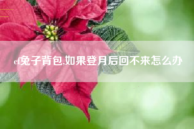 cf兔子背包,如果登月后回不来怎么办