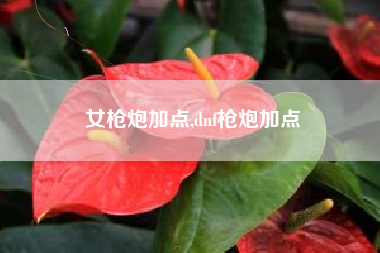 女枪炮加点,dnf枪炮加点