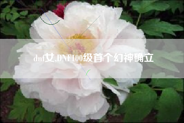 dnf女,dnf100级首个幻神确立