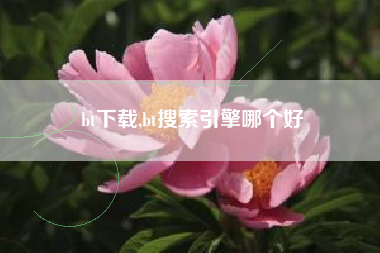 bt下载,bt搜索引擎哪个好