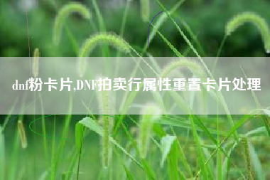 dnf粉卡片,dnf拍卖行属性重置卡片处理