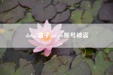 dota2盒子,steam账号被盗