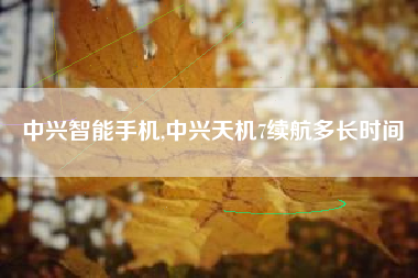 中兴智能手机,中兴天机7续航多长时间