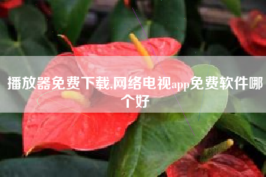 播放器免费下载,网络电视app免费软件哪个好