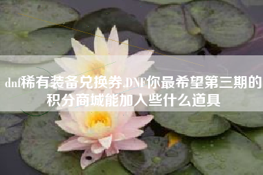 dnf稀有装备兑换券,dnf你最希望第三期的积分商城能加入些什么道具