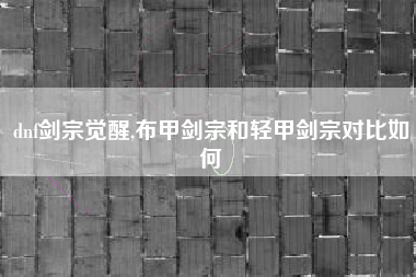 dnf剑宗觉醒,布甲剑宗和轻甲剑宗对比如何