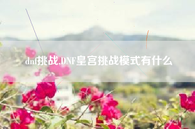 dnf挑战,dnf皇宫挑战模式有什么