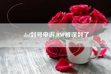 dnf封号申诉,dnf被误封了