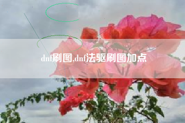 dnf刷图,dnf法驱刷图加点