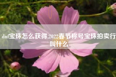 dnf宝珠怎么获得,2022春节称号宝珠拍卖行叫什么