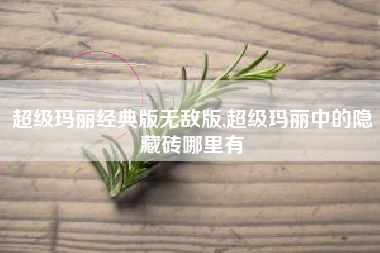 超级玛丽经典版无敌版,超级玛丽中的隐藏砖哪里有