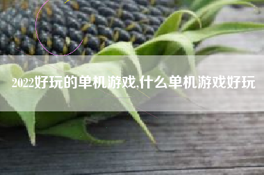 2022好玩的单机游戏,什么单机游戏好玩