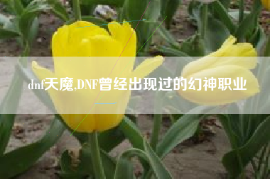 dnf天魔,dnf曾经出现过的幻神职业