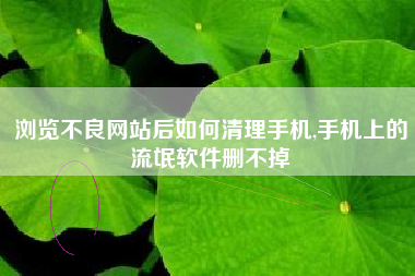 浏览不良网站后如何清理手机,手机上的流氓软件删不掉