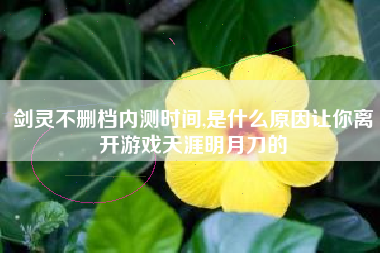 剑灵不删档内测时间,是什么原因让你离开游戏天涯明月刀的