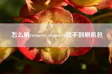 怎么刷recovery,recovery找不到刷机包