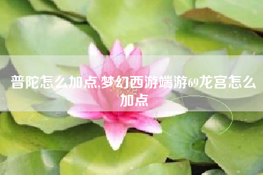 普陀怎么加点,梦幻西游端游69龙宫怎么加点