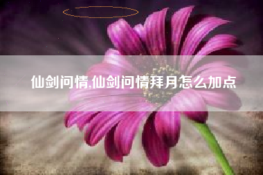 仙剑问情,仙剑问情拜月怎么加点