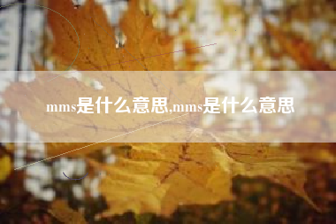 mms是什么意思,mms是什么意思