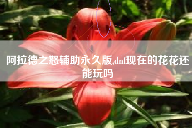 阿拉德之怒辅助永久版,dnf现在的花花还能玩吗