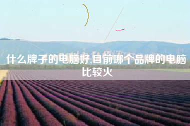 什么牌子的电脑好,目前哪个品牌的电脑比较火