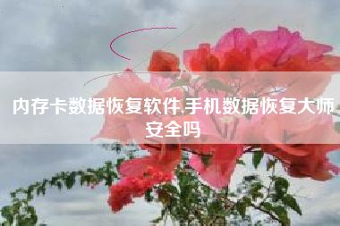 内存卡数据恢复软件,手机数据恢复大师安全吗