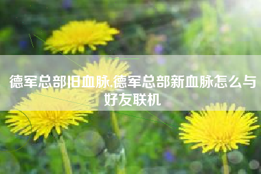 德军总部旧血脉,德军总部新血脉怎么与好友联机