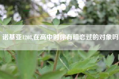 诺基亚1208,在高中时你有暗恋过的对象吗