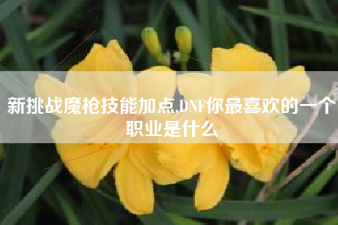 新挑战魔枪技能加点,dnf你最喜欢的一个职业是什么