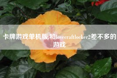 卡牌游戏单机版,和lovecraftlocker2差不多的游戏