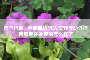 荒野行动pc透视辅助网站,荒野行动外挂问题现在处理的怎么样了