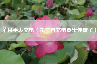 苹果手表充电（第三方充电器集体废了）