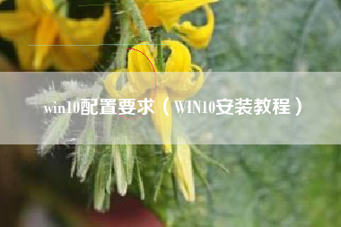 win10配置要求（win10安装教程）