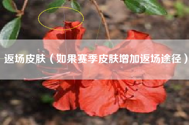 返场皮肤（如果赛季皮肤增加返场途径）