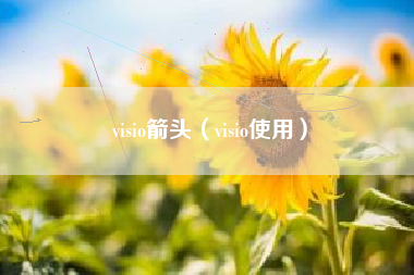 visio箭头（visio使用）